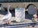 012 Gander Guards