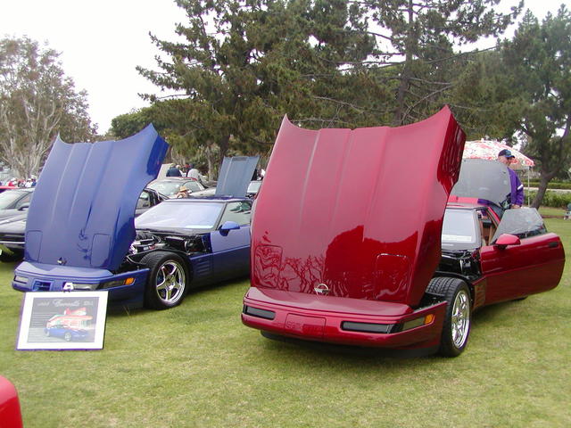 P1010023