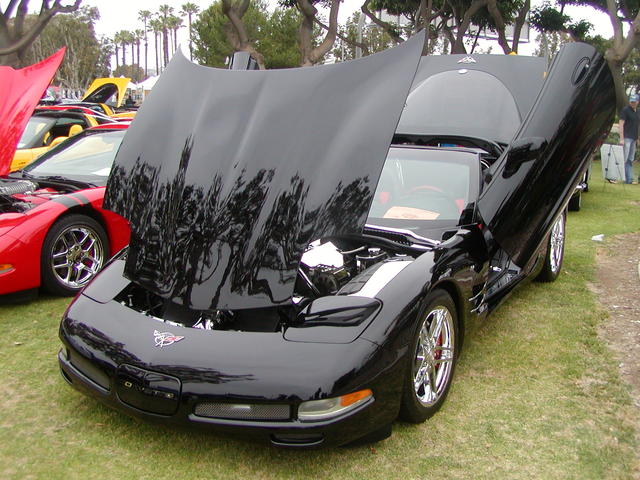 P1010060