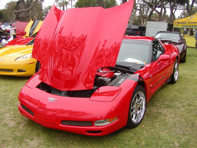 P1010062