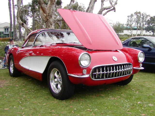 P1010093